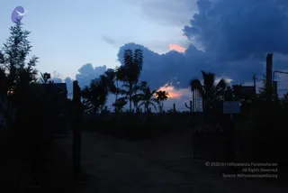 July 10 2010