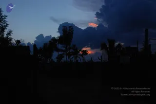 July 10 2010