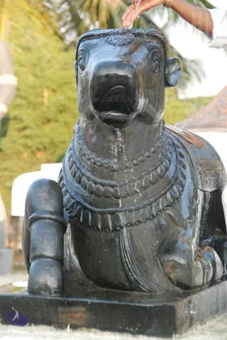 8-Pradosham-at-Bidadi_Photo_1016_DSC_3283_CMP_WM