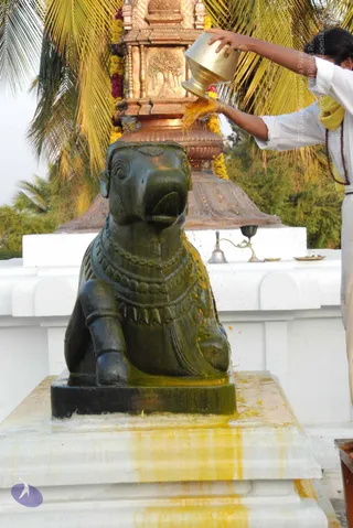 8-Pradosham-at-Bidadi_Photo_1017_DSC_3287_CMP_WM