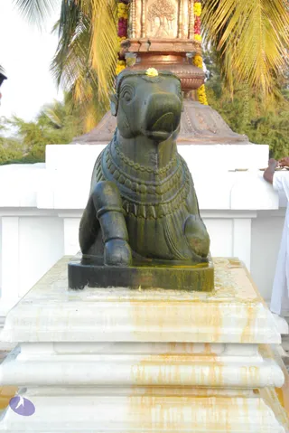 8-Pradosham-at-Bidadi_Photo_1022_DSC_3296_CMP_WM