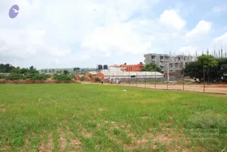 DSC_2967_CMP_WM