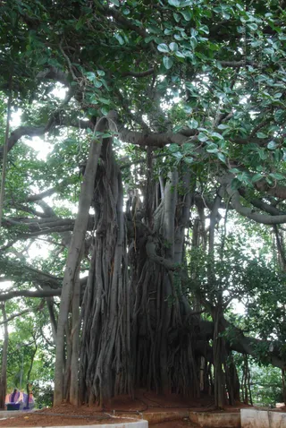 July 14 2010