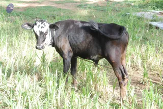 July 14 2010
