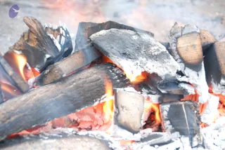20100729_Photo_1019_DSC_5644_CMP_WM