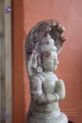 A carved pale stone figure of a deity murti in profile, hands joined in anjali mudra at the chest, with a hooded serpent canopy arching overhead and scale patterns carved on the serpent hood and body. The figure wears a carved necklace, armlets and a tiered hairstyle with a small carved emblem at the side. Against a terracotta-orange wall, a sculpted statue rather than a living person. No people are visible.