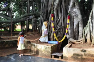 A large banyan tree with many hanging aerial roots and thick spreading branches forms the setting. A woman in a white sari with a yellow border stands at a cave opening between the roots, hands joined in prayer, with a white tote bag printed with an Om symbol over her shoulder. A young girl in an orange top and yellow skirt with a red scarf stands on a stone platform in the foreground, watching. A garland of yellow, red and purple flowers hangs from the tree beside the cave. A blue sign reads DO NOT ENTER THE CAVE. Stone benches and tiled paths surround the tree.