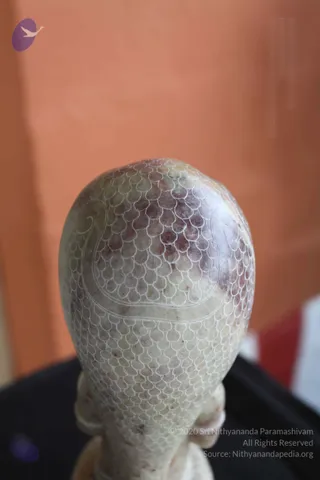 Close-up photograph of the top and back of a pale stone or marble head sculpture, its surface finely carved with a dense scale-like pattern and a large curling paisley or swirl motif across the crown. The background is a warm orange wall with a dark surface below. No physical people are visible, and the carved head is a statue, not a living person.
