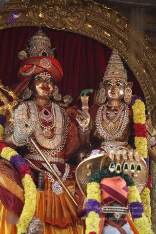Photograph of a gilded deity murti pair seated under a red velvet canopy inside an ornate gold arch. The left figure wears a red-orange turban with a jewelled crown, carries a trident, and is heavily adorned with diamond-studded necklaces and a jewelled hand. The right figure wears a jewelled conical crown, layered gem necklaces and a golden-brown sari. Both are garlanded with yellow marigolds and purple and red flowers. A small green parrot perches on a golden stand between them, and a bejewelled nagaraja-style hood appears below. In the foreground a partially visible person in an orange turban sits before the figures.