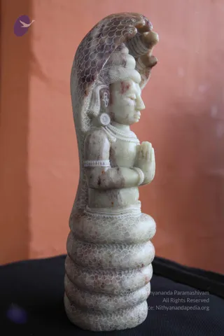 A carved pale stone figure of a seated deity with hands in anjali mudra (palms pressed together) rests on a coiled serpent base, with a multi-hooded naga hood rising behind the head. The carving has fine white scale-pattern lines on the snake, a tiered hair crown, round earrings and a beaded necklace. It is set on a dark cloth against a salmon-coloured wall. The figure is a statue, not a physical person.