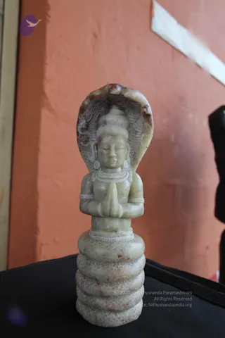 A pale greenish-grey carved stone statue of a seated figure with hands pressed together in anjali mudra, placed on a stack of coiled snake-like rings with scale patterns. A cobra hood rises behind the head, its scales detailed in carving. The figure wears a beaded necklace and bangles, with a tilak mark on the forehead and hair in a high topknot. The statue sits on a dark cloth against an orange-red wall. No people are visible; the figure is a stone murti, so no a person candidate appears in person.
