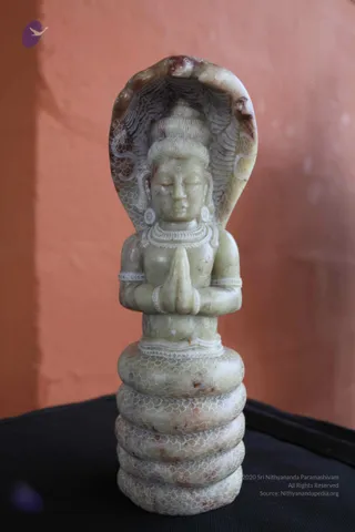 A carved pale green stone statue of a seated deity in anjali mudra, hands pressed together at the chest, eyes closed, with a tall hair bun and a rounded neck ornament. A cobra's hood with carved scale patterns arches behind the head, and the figure sits on coiled snake-body coils carved with scale texture. The statue rests on a dark cloth against a terracotta-coloured wall. The figure is a deity murti, not a person, so no a person candidate is present.