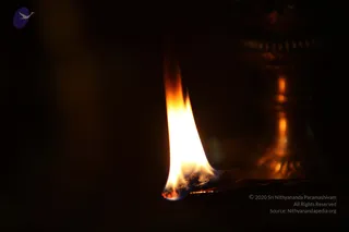 IMG_1810_CMP_WM