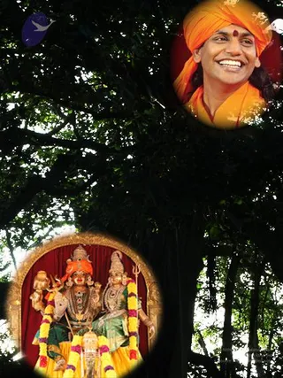 A composite graphic over a dark tree canopy with sunlight through the leaves. A circular inset in the upper right shows a smiling man in saffron-orange robes and a saffron turban with a red bindi, a figure whose appearance matches the Swamiji (probable) cues of a saffron turban and saffron robes. A circular inset in the lower left shows a deity murti of a seated divine couple in ornate gold and green garments, with an orange crown, garlands of yellow and magenta flowers, and a red curtain behind them. A small blue bird logo appears in the upper left corner.
