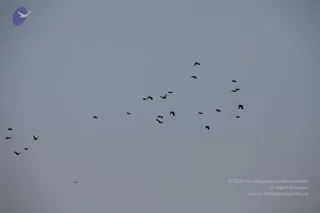 November Va 2010