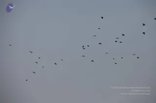 November Va 2010