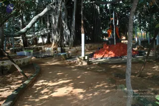 October 02 2010