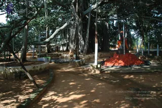 October 02 2010