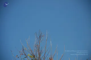 October 02 2010