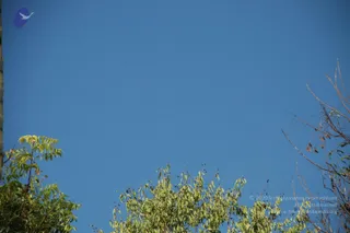 October 02 2010