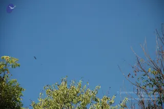 October 02 2010