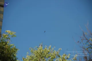 October 02 2010