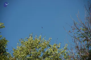 October 02 2010
