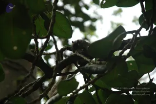 October 02 2010