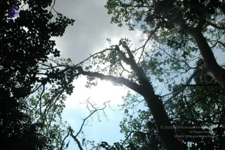 October 02 2010