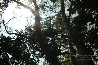 October 02 2010