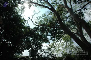October 02 2010