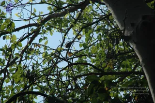 October 02 2010