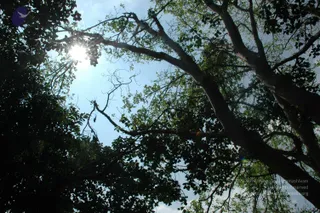 October 02 2010