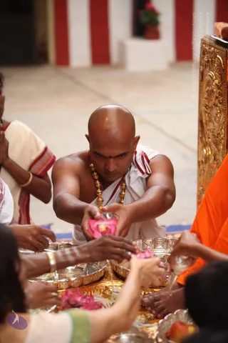 A shaved-headed priest in white dhoti and shawl with red border, wearing a gold beaded necklace and a red tilak, leans forward over a brass tray of pink flower petals and offerings. Hands around him reach toward silver and brass plates. A devotee on the left holds hands in anjali near a golden carved pillar, and a figure in saffron/orange cloth appears at the right edge. Red-and-white striped walls and a red-flowered pot stand in the background.