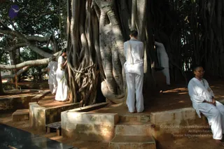 October 04 2010