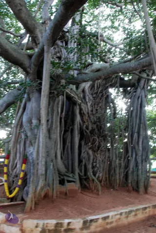 October 05 2010