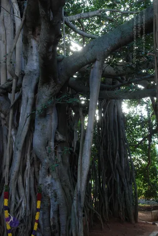 October 05 2010