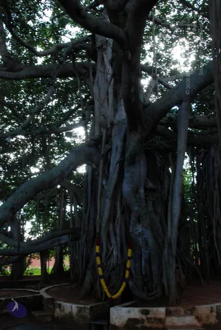 October 05 2010