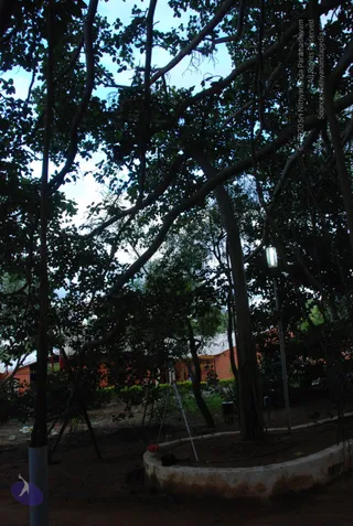 October 05 2010