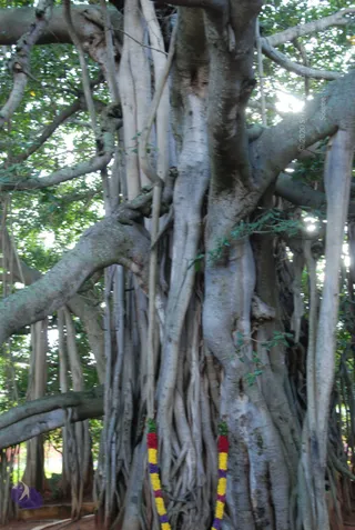 October 05 2010