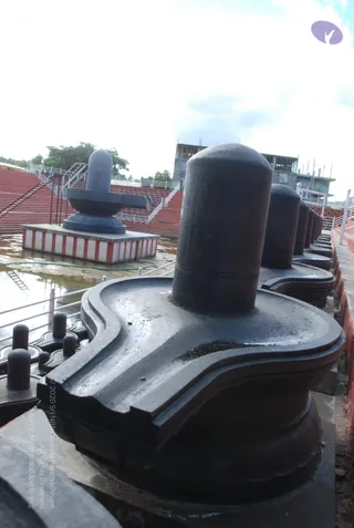 October 05 2010