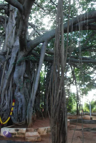 October 05 2010