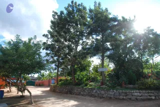 October 05 2010