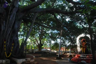 October 05 2010