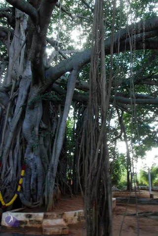October 05 2010