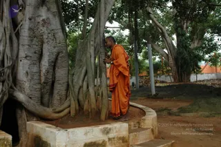 October 05 2010