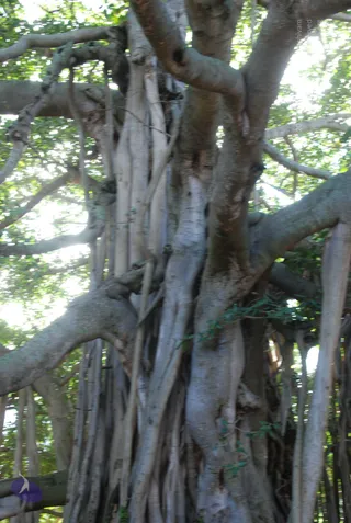 October 05 2010