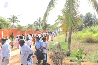 A wide outdoor photograph of a long dirt path lined with coconut palms and a tall orange-red brick wall on the left. A large crowd of devotees walks in both directions along the path, mostly men and women dressed in white, with some women in saffron and orange saris. In the foreground a man in a white shirt and white dhoti carries a cloth bag, and a younger man in a blue shirt and a man in white shirt walk close to the camera; one carries a folded paper with a printed portrait. Dry shrubs, grass and sandals lie at the lower right. No identifiable central figure is clearly visible.