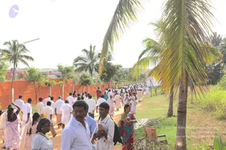 Outdoor photograph of a long, crowded path lined with palm trees and an orange-red brick wall. Many people walk in one direction, most dressed in white shirts and white dhotis or saris, with some in colourful saris. In the foreground a man in a white shirt and a man in a striped shirt stand near a woman in a teal and red sari. A row of palms and a small white structure appear on the right, and a discarded wheelchair sits in the grass. No deity, throne or a person depiction is visible, and no one resembling a person is identifiable in the scene.