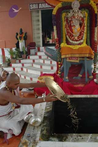 A photograph of a priest in white ritual dhoti and gold necklaces kneeling beside a black-walled pit, pouring dried sticks or offerings from a large brass plate into it. Behind him stands a silver-adorned Ganesha murti seated on a grey mouse vahana, garlanded with layered marigold and mixed flower garlands and draped in orange cloth. A black statue of a standing deity with an orange shawl and white garland stands on the steps, and a sign above the doorway reads Sri Anan. Silver bowls and a small brass cup sit near the priest, and a person at the left holds a microphone. The scene resembles a homa or yagna fire offering at a temple entrance.